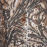 Hello Honey® 5" Brown Hanging Stoneware Planter with Rope