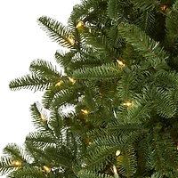 7ft. Pre-Lit South Carolina Spruce Artificial Christmas Tree, White Warm LED Lights
