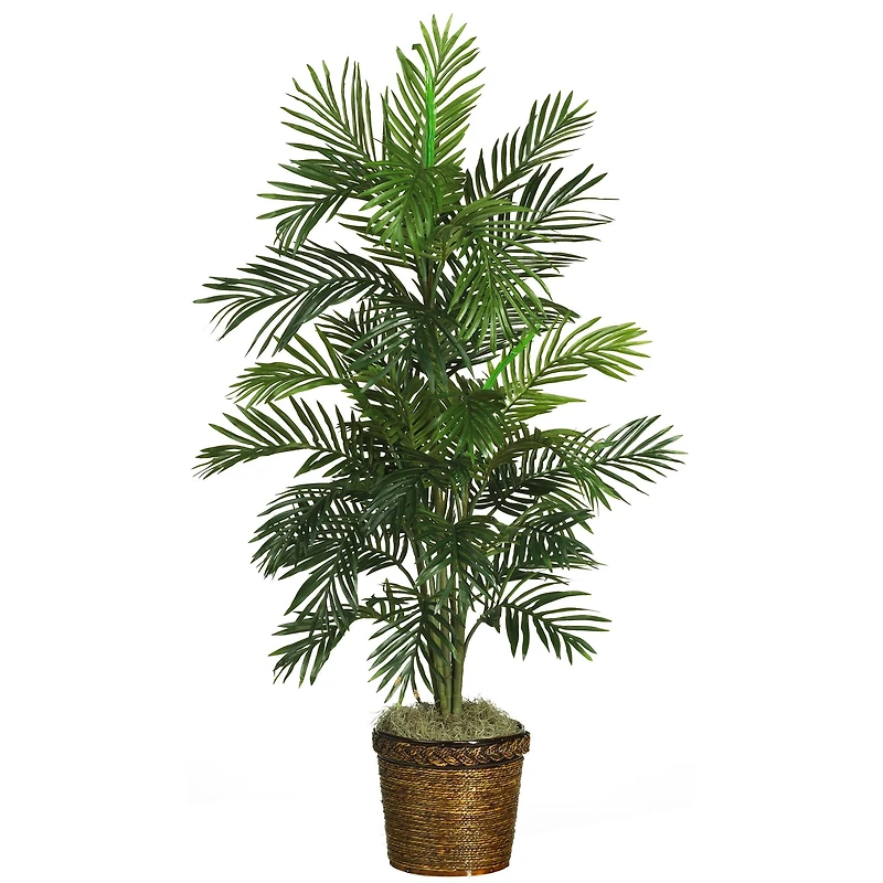 4.6ft. Areca Palm Tree with Basket