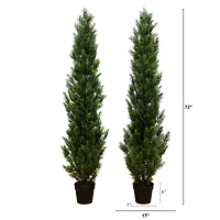 6ft. Potted UV Resistant Topiary Cedar Trees, 2ct.