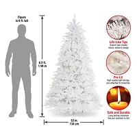 6.5ft. Pre-Lit Dunhill® White Fir Artificial Christmas Tree, Clear Lights