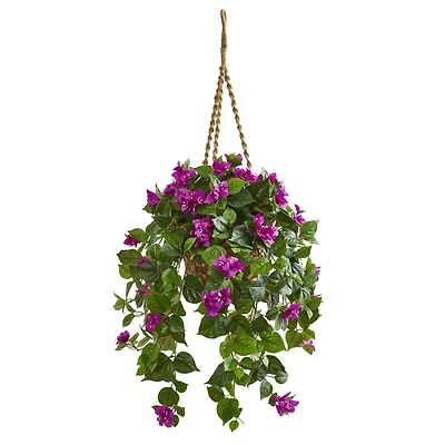 2.5ft. Bougainvillea in Woven Planter