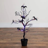 3ft. Pre-Lit Artificial Halloween Black Spooky Twig Tree with Bats and 100 Orange & Purple LED Lights