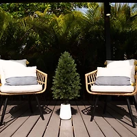 3ft. UV-Resistant Cedar Tree in Decorative White Planter