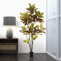 5ft. Potted Green & Orange Croton Tree