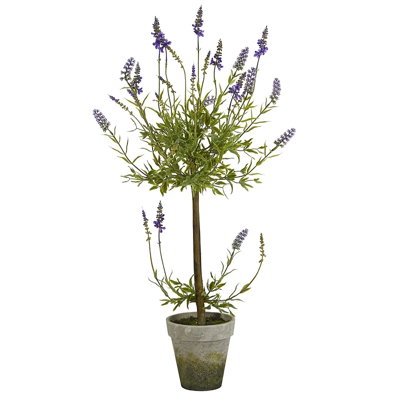 3ft. Potted Lavender Single Ball Topiary Tree