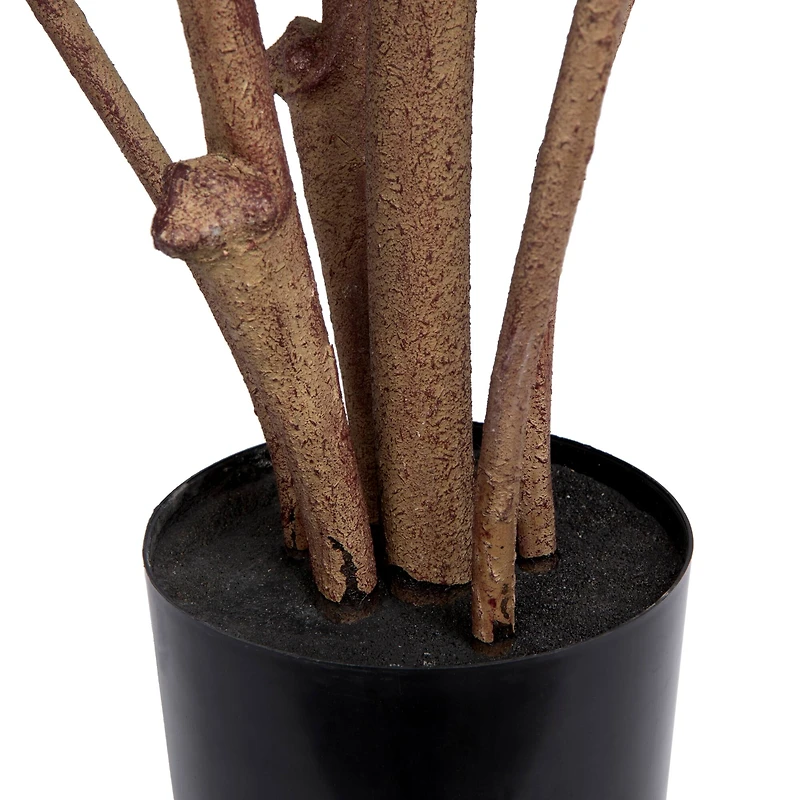 5ft. Potted Green Rubber Tree