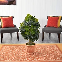 3.5ft. Umbrella Tree in Terra Cotta Planter