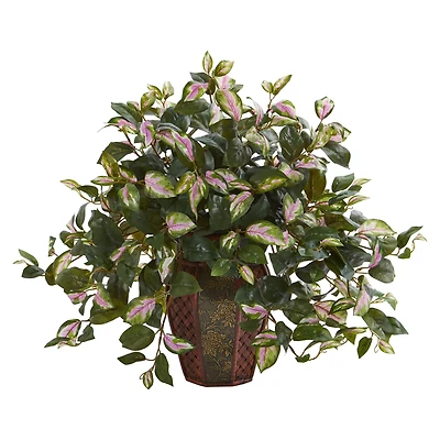 20" Hoya Plant in Decorative Planter