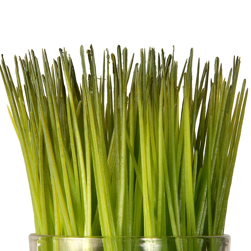 3-Piece Round Sprout-Filled Glass Assortment