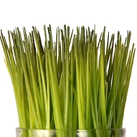 3-Piece Round Sprout-Filled Glass Assortment