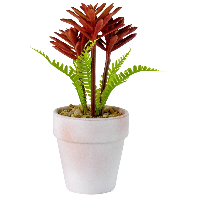 8" Red And Green Succulent Fern In Ceramic White Pot