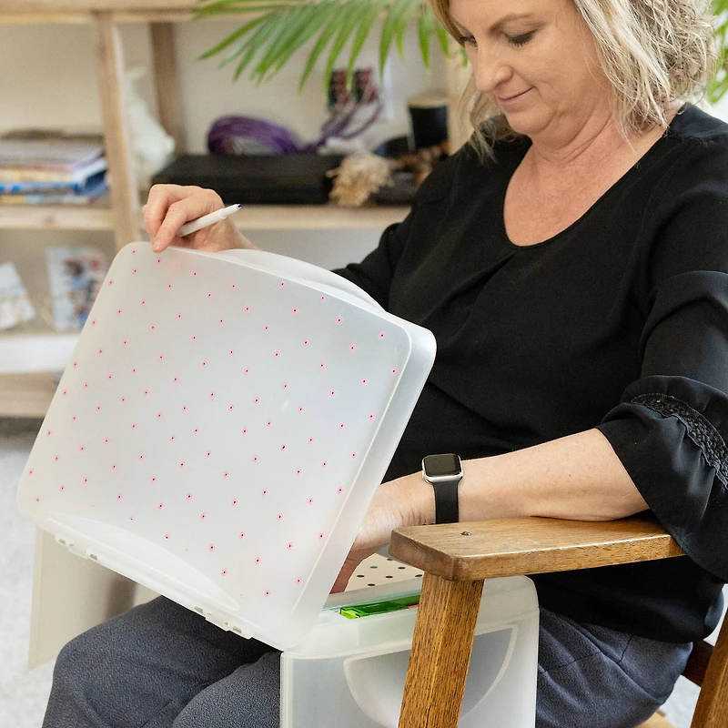 Everything Mary Pink Floral Plastic Lap Desk