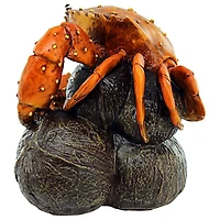 Design Toscano 7.5" Hard Nut to Crack Crab Garden Statue