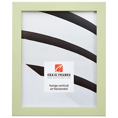 Craig Frames Confetti Light Green Picture Frame