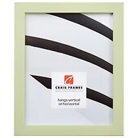 Craig Frames Confetti Light Green Picture Frame