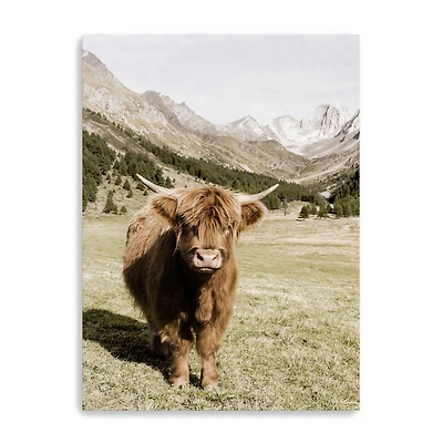 Oetztal Alps Canvas Giclee