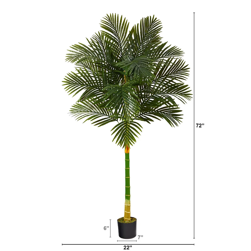 6ft. Potted Golden Cane Palm Tree