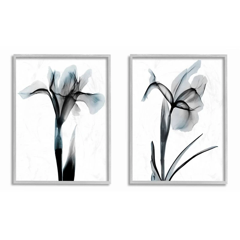 Stupell Industries Contrast Black And Blue Flower Bloom Designs in Gray Frame Wall Art