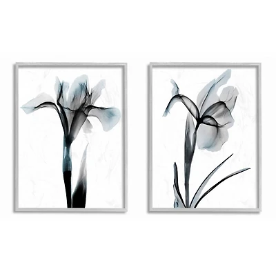Stupell Industries Contrast Black And Blue Flower Bloom Designs in Gray Frame Wall Art