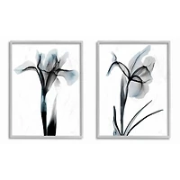 Stupell Industries Contrast Black And Blue Flower Bloom Designs in Gray Frame Wall Art