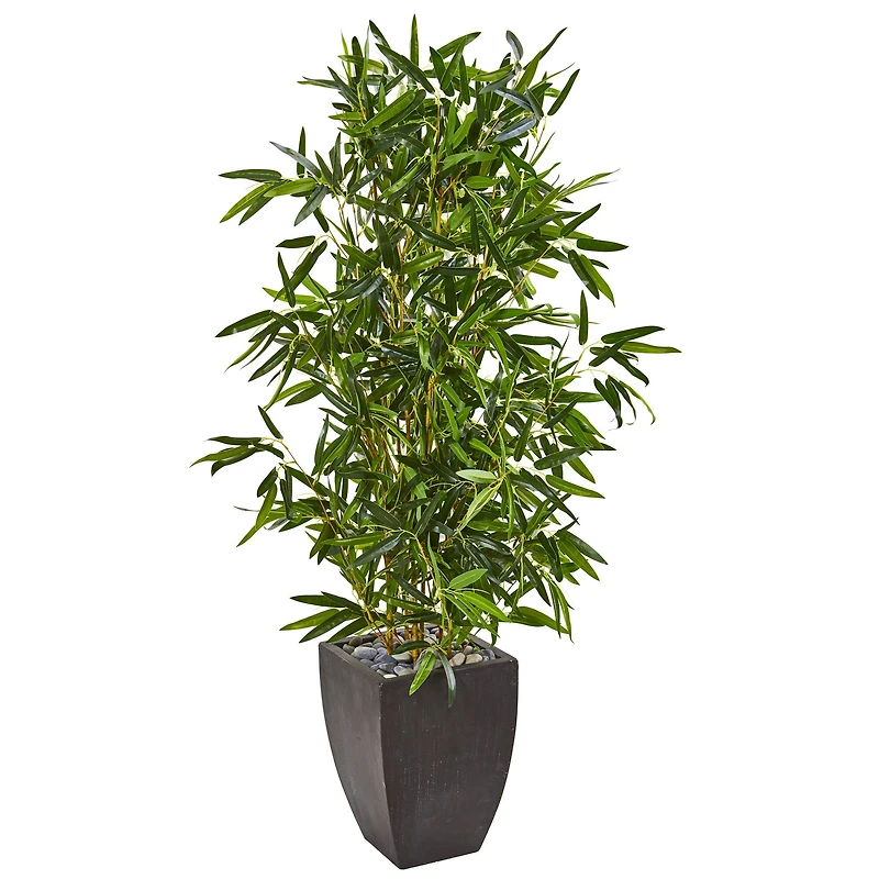5ft. Bamboo Tree in Black Planter