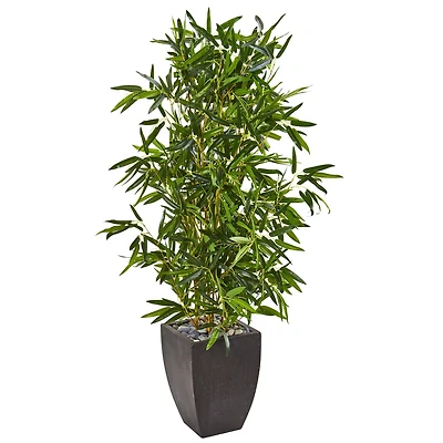 5ft. Bamboo Tree in Black Planter