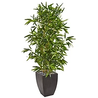 5ft. Bamboo Tree in Black Planter