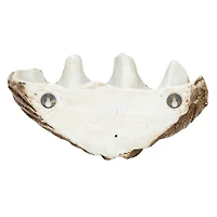 Hello Honey® 14.25" Decorative Clam Wall Bowl