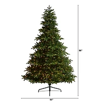 8ft. Pre-Lit South Carolina Spruce Artificial Christmas Tree, Clear Lights
