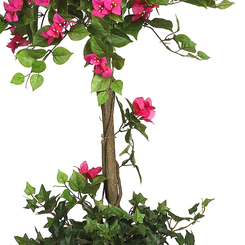 5ft. Potted Mini Bougainvillea Topiary