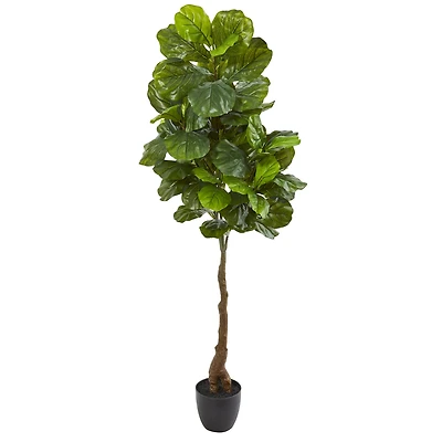 5.3ft. Fiddle Leaf Tree with White Planter