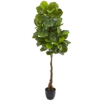 5.3ft. Fiddle Leaf Tree with White Planter