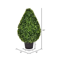 2ft. Potted Boxwood Teardrop Shaped Bush
