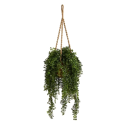 4.5ft. Honey Locust Plant Hanging Basket