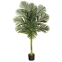 5ft. Potted Golden Cane Palm Tree