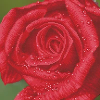 Diamond Dotz® Intermediate Rose Dew with Frame Diamond Painting Kit