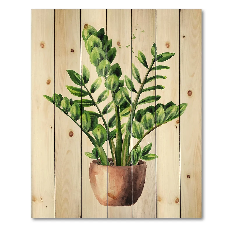 Designart - Zamioculcas Tropical Plant With Green Leaves