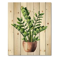 Designart - Zamioculcas Tropical Plant With Green Leaves