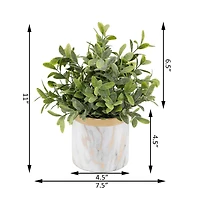 Flora Bunda® 4.5" Tea Leaf In Marble Ceramic Pot