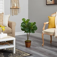 2.7ft. Fiddle Leaf Fig Tree in Basket
