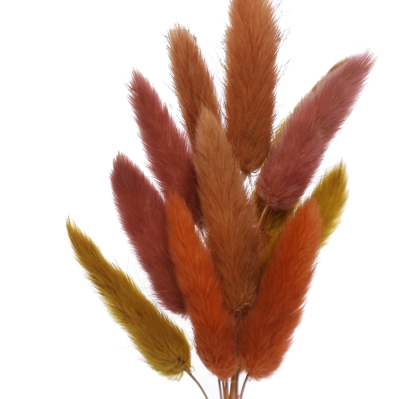 8.5" Dried Bunny Tail Grass Mini Bundle by Ashland®