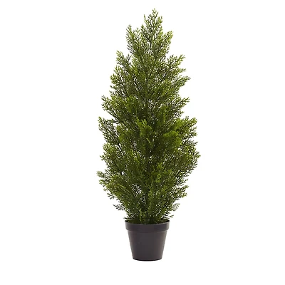 3ft. Potted Mini Cedar Pine Tree