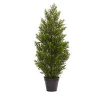 3ft. Potted Mini Cedar Pine Tree