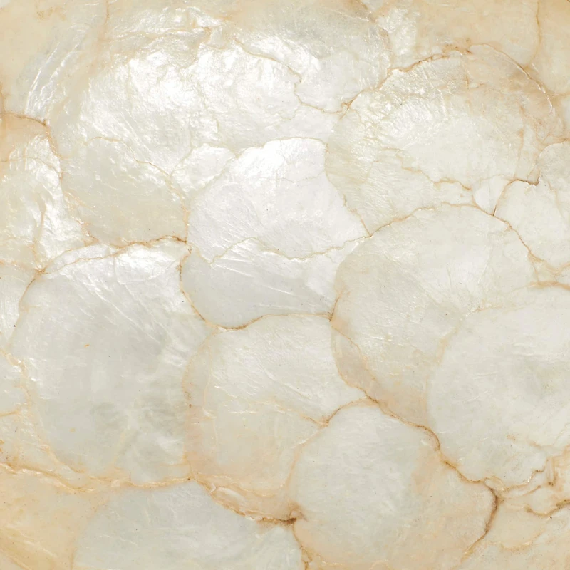 16" Natural Brown Wood and Shell Natural Decorative Bowl