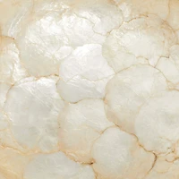 16" Natural Brown Wood and Shell Natural Decorative Bowl