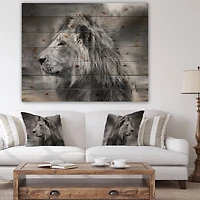 Designart - Grey Wild African Lion