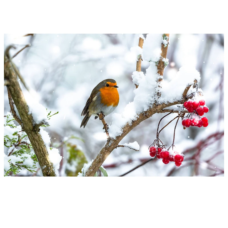 Sparkly Selections Christmas Robin round