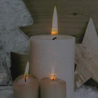 LED Lighted Flickering Candles And Winter Wooden Trees Canvas Wall Art