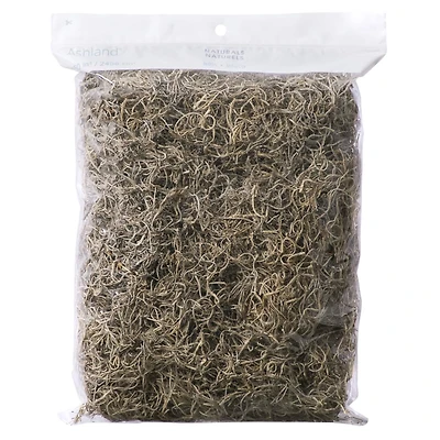 24 Pack: Spanish Moss by Ashland®